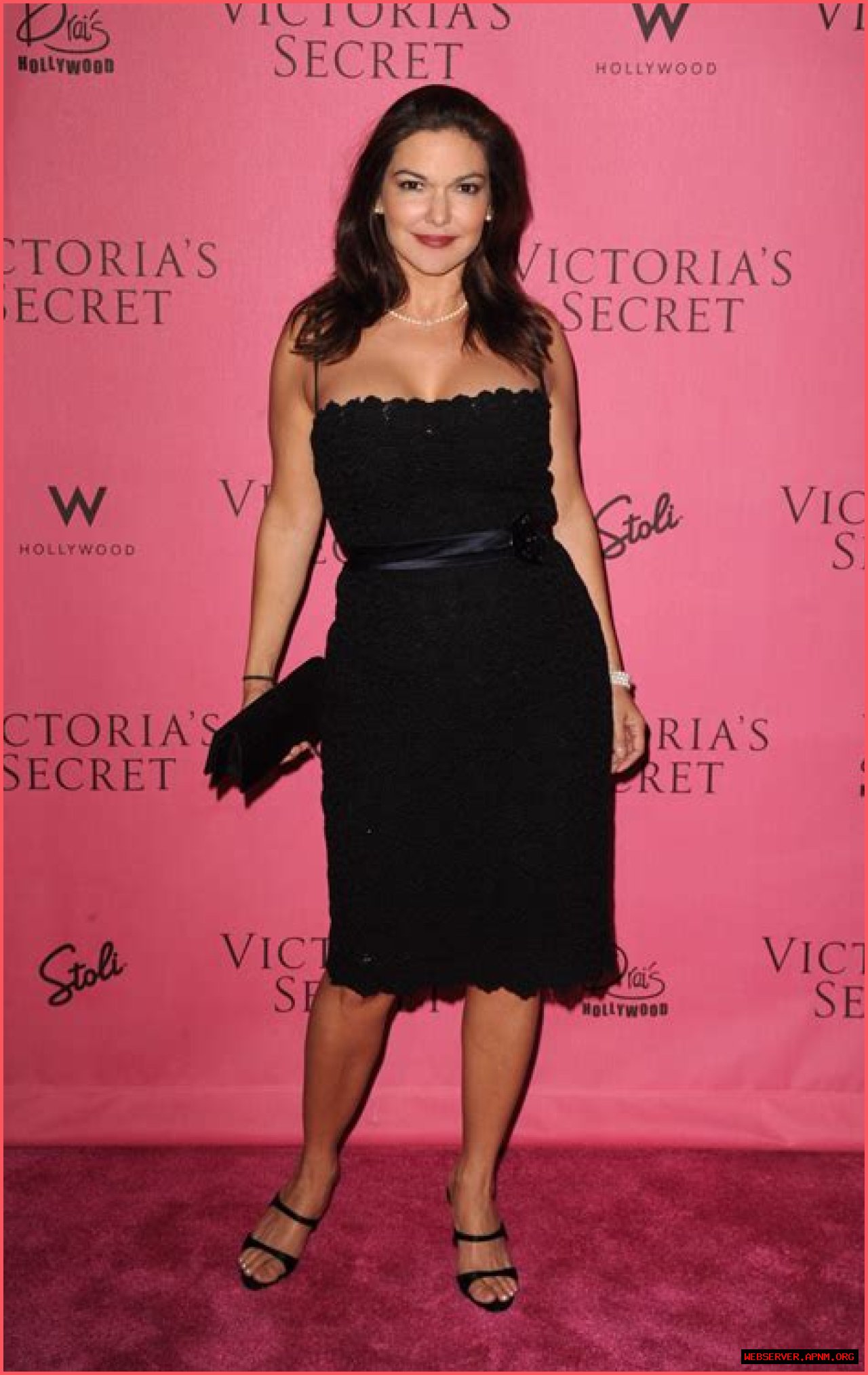 Laura Harring Net Worth – How Much is Harring Worth?